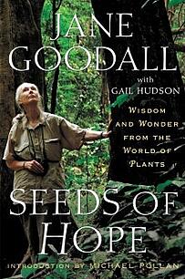 jane-goodall-plagiarism