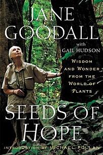 jane-goodall-plagiarism