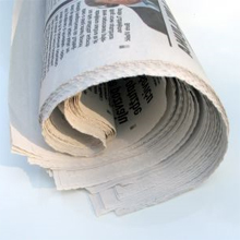 newspaper resized 600